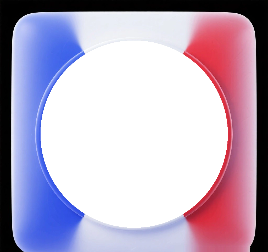 France Flag